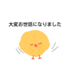 ひよこさんの挨拶（個別スタンプ：3）