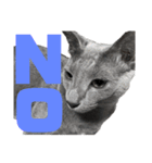 猫さんたち2（個別スタンプ：4）