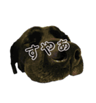 ラブラドール・レトリバー兄弟【日常会話】（個別スタンプ：28）