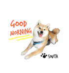 柴犬爽太の挨拶スタンプ（個別スタンプ：15）