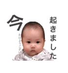 我が家のちゅんちゅん（個別スタンプ：1）