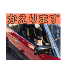 癒し  日常会話スタンプ（個別スタンプ：6）