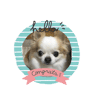 クゥちゃん（個別スタンプ：1）