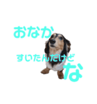 R♡R（個別スタンプ：2）