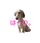 R♡R（個別スタンプ：3）