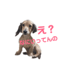 R♡R（個別スタンプ：5）