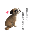 サロン犬 タンザ店長 接客編①（個別スタンプ：4）