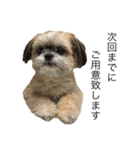 サロン犬 タンザ店長 接客編①（個別スタンプ：12）