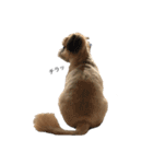 サロン犬 タンザ店長 接客編①（個別スタンプ：19）