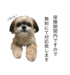 サロン犬 タンザ店長 接客編①（個別スタンプ：24）