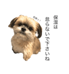 サロン犬 タンザ店長 接客編①（個別スタンプ：26）