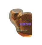 モカな感じ（個別スタンプ：7）