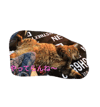 モカな感じ（個別スタンプ：8）