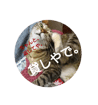 みーたんファミリー  8（個別スタンプ：21）