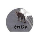 至極のスタンプ（個別スタンプ：6）