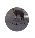 至極のスタンプ（個別スタンプ：8）