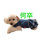 アン女王の華麗な日々（個別スタンプ：3）