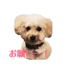 アン女王の華麗な日々（個別スタンプ：5）