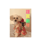 アン女王の華麗な日々（個別スタンプ：6）