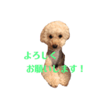 アン女王の華麗な日々（個別スタンプ：8）