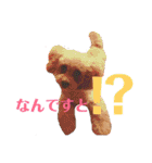 アン女王の華麗な日々（個別スタンプ：12）