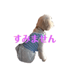 アン女王の華麗な日々（個別スタンプ：14）