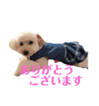 アン女王の華麗な日々（個別スタンプ：17）