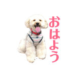 アン女王の華麗な日々（個別スタンプ：22）