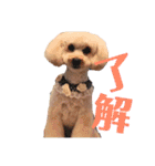 アン女王の華麗な日々（個別スタンプ：24）
