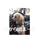 アン女王の華麗な日々（個別スタンプ：26）