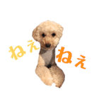 アン女王の華麗な日々（個別スタンプ：29）