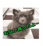 ラクとゆめ ほのぼのライフ（個別スタンプ：5）