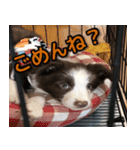 ラクとゆめ ほのぼのライフ（個別スタンプ：6）