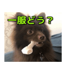 ラクとゆめ ほのぼのライフ（個別スタンプ：7）