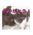 ラクとゆめ ほのぼのライフ（個別スタンプ：8）