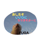そーすけ＆ふうが（個別スタンプ：40）