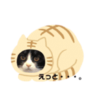 新井家のねこ（個別スタンプ：7）