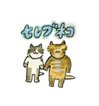先輩んちのセレブネコ（個別スタンプ：1）