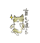 先輩んちのセレブネコ（個別スタンプ：8）