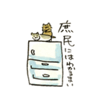 先輩んちのセレブネコ（個別スタンプ：13）