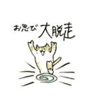 先輩んちのセレブネコ（個別スタンプ：17）
