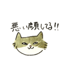 先輩んちのセレブネコ（個別スタンプ：20）