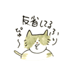 先輩んちのセレブネコ（個別スタンプ：23）