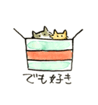先輩んちのセレブネコ（個別スタンプ：24）