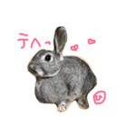 ひな そら さん 2（個別スタンプ：14）