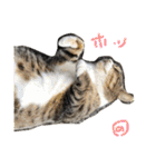 ひな そら さん 2（個別スタンプ：27）