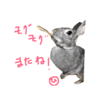 ひな そら さん 2（個別スタンプ：35）