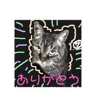 ひな そら さん 2（個別スタンプ：40）