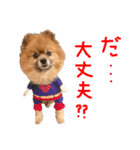 Loco_moco（個別スタンプ：7）