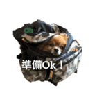 Loco_moco（個別スタンプ：11）